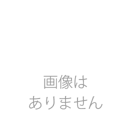 男・レズ・レイプ・ＳＥＸ　不良学生陽子の青春　FA-245