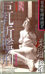 しらいしなつこ の ビデオ 巨乳折檻の刑　敏感乳房の誘惑　日本緊縛拷問史