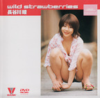 びっくりばんく の DVD wild strawberries 長谷川瞳